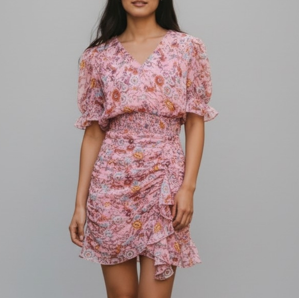 NWT Walter Baker Mars Dress In Boho Floral Print Size 2  Retail: $228
